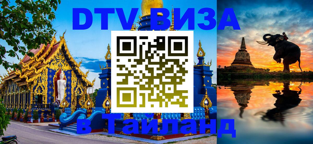 Оформление DTV визы под ключ: стоимость и тарифы, только загранпаспорт - Королёв  20.11.2025 